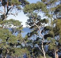 The Edgewater Bed amp Breakfast - Accommodation NT