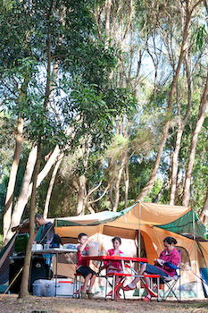 BIG4 Yarra Valley Holiday Park - Accommodation NT 8