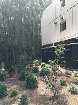 Ibis Budget Gosford - Accommodation NT 14