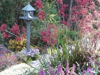 Gracehill - NT Tourism 9