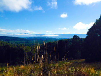 Gracehill - NT Tourism 36