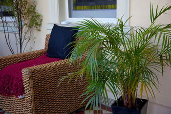 Carlton Terrace - Accommodation NT 7