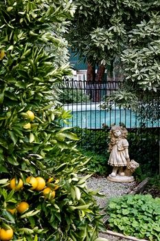 Holly Lane Mews - Accommodation NT 31