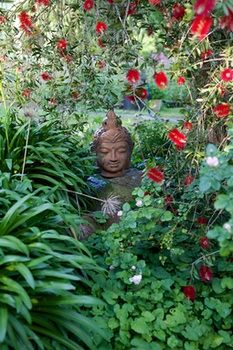 Holly Lane Mews - Accommodation NT 37