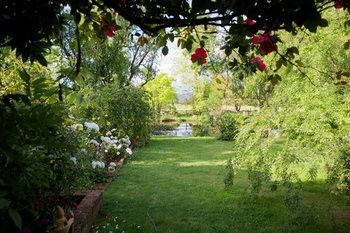 Holly Lane Mews - Accommodation NT 39