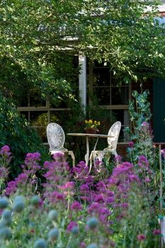 Holly Lane Mews - Accommodation NT 41