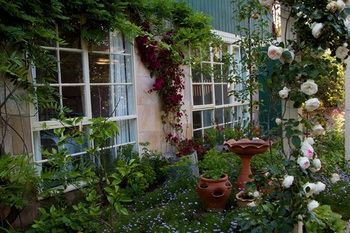 Holly Lane Mews - Accommodation NT 46