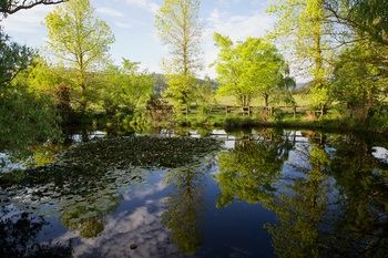 Holly Lane Mews - Accommodation NT 58