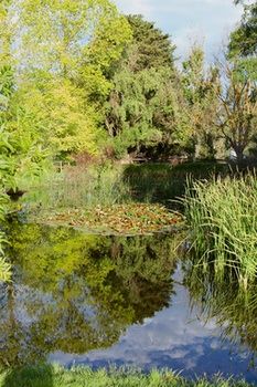 Holly Lane Mews - Accommodation NT 59