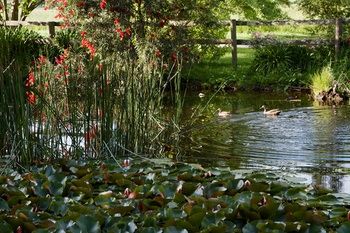 Holly Lane Mews - Accommodation NT 61