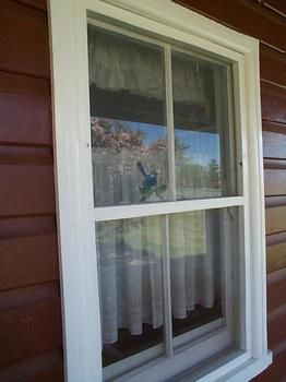 Aaron Cottage - Accommodation NT 1