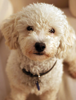 Aaron Cottage - Accommodation NT 10