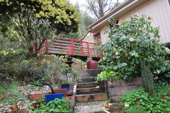 Cherryblossom B&B - Accommodation NT 12