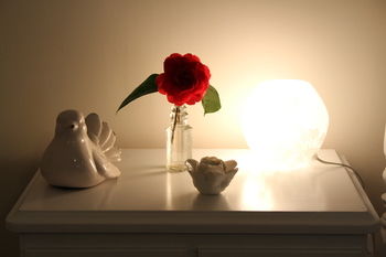 Merrow Cottages - Accommodation NT 37