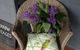 Merrow Cottages - thumb 59