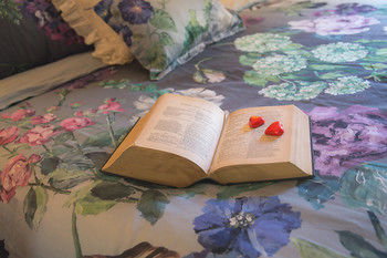 The Heart Of Emerald Bed & Breakfast - Accommodation NT 9