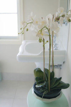 The Heart Of Emerald Bed & Breakfast - Accommodation NT 30