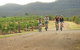 Hunter Valley YHA - Hostel - thumb 36