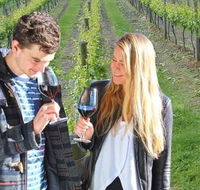 Valley Farm Vineyard Cottages - Accommodation NT