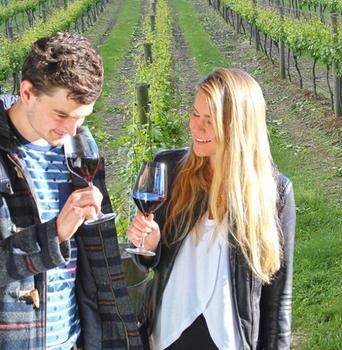 Valley Farm Vineyard Cottages - Accommodation NT 0