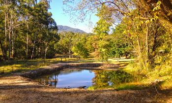 Valley Farm Vineyard Cottages - Accommodation NT 3