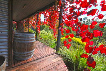 Valley Farm Vineyard Cottages - Accommodation NT 5