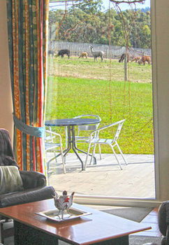 Valley Farm Vineyard Cottages - Accommodation NT 9
