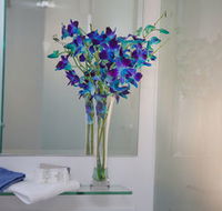 Grand Hotel Wyong - Accommodation NT