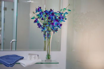 Grand Hotel Wyong - Accommodation NT 0