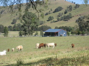 The Wattle Lodge - Accommodation NT 19
