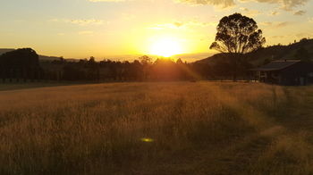 The Wattle Lodge - Accommodation NT 35