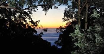 Misty Woods Retreat - Olinda - NT Tourism 13