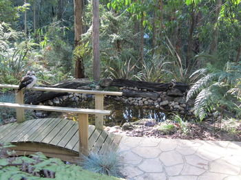 Myers Creek Cascades Luxury Cottages - Accommodation NT 2