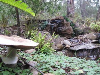 Myers Creek Cascades Luxury Cottages - Accommodation NT 23