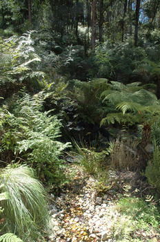 Myers Creek Cascades Luxury Cottages - Accommodation NT 41