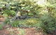 Myers Creek Cascades Luxury Cottages - thumb 42