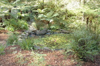 Myers Creek Cascades Luxury Cottages - Accommodation NT 42