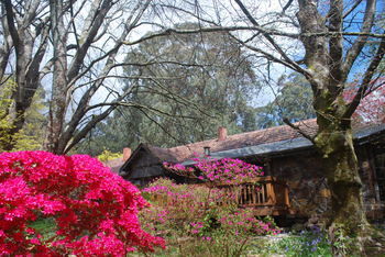 Rocky Creek Art Garden B&B - NT Tourism 3