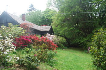 Rocky Creek Art Garden B&B - NT Tourism 4