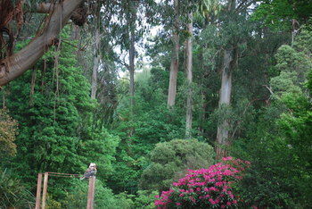 Rocky Creek Art Garden B&B - NT Tourism 5