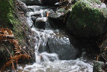 Rocky Creek Art Garden B&B - NT Tourism 7