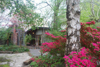 Rocky Creek Art Garden B&B - NT Tourism 8