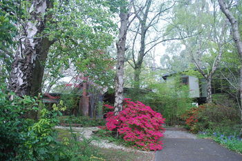 Rocky Creek Art Garden B&B - NT Tourism 11