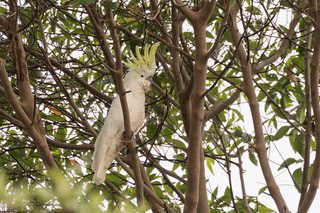 Pencil Creek Cottages - Accommodation NT 9