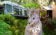 Huon Bush Retreats - thumb 0