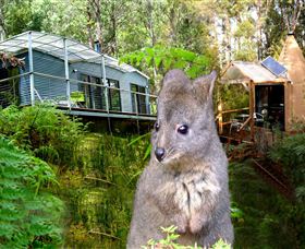 Huon Bush Retreats - Accommodation NT 0