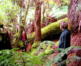 Huon Bush Retreats - Accommodation NT 3