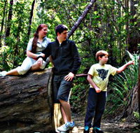 Tahune Airwalk Lodge - Accommodation NT