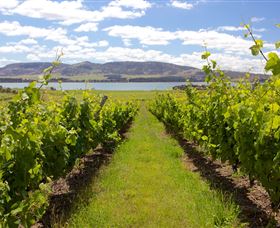 Riversdale Estate Cottages - Accommodation NT 0