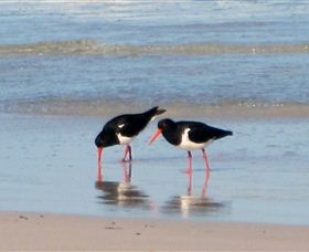 Lake Eckersley Campground - Accommodation NT 4